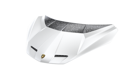 Lamborghini Revuelto Race Hood