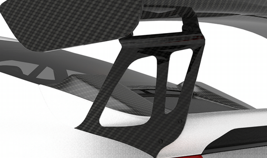 Porsche 991.2 GT2 RS-Wing Legs